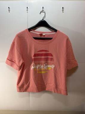 Puma Sports Small Pink Sweatshirt Crop Top